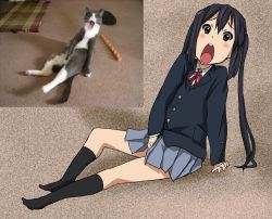 Rule 34 | 1girl, arm support, bad id, bad pixiv id, black hair, black socks, blazer, blush, brown eyes, cat, jacket, k-on!, kneehighs, long hair, looking at viewer, masturbation, md5 mismatch, nakano azusa, no shoes, on floor, open mouth, photo inset, pleated skirt, reference inset, reference photo, ribbon, round teeth, school uniform, sitting, skirt, socks, teeth, twintails, watanore