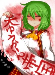 Rule 34 | 1girl, ascot, blood, blood on face, breasts, closed eyes, female focus, green hair, kazami yuuka, large breasts, plaid, plaid skirt, plaid vest, roki (hirokix), shaded face, sign, sign holding, skirt, skirt set, smile, solo, touhou, translation request, vest