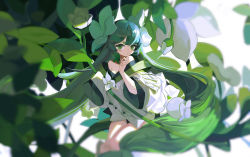 Rule 34 | 1girl, absurdly long hair, bare shoulders, blurry, bow, choker, commentary, depth of field, flower, flower (symbol), green choker, green eyes, green hair, green kimono, hair flower, hair ornament, hakushi (masterwork apocalypse), hand up, highres, japanese clothes, kimono, leaf, long hair, long sleeves, looking at viewer, masterwork apocalypse, multicolored clothes, multicolored kimono, multiple bows, ninewood, off shoulder, parted lips, plant, short kimono, sleeves past fingers, sleeves past wrists, solo, very long hair, white background, white bow, white flower, white kimono, wide sleeves