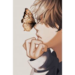 Rule 34 | 1boy, brown hair, bug, butterfly, butterfly on face, butterfly on nose, cognacbear, covered eyes, grey background, hair between eyes, hand on own chin, highres, insect, long sleeves, male focus, orange butterfly, original, short hair, solo, sweater