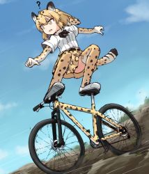 Rule 34 | 10s, 1girl, ?, animal ears, belt, bicycle, black bow, blonde hair, bow, bowtie, commentary, day, elbow gloves, fur collar, gloves, jaguar (kemono friends), jaguar ears, jaguar print, jaguar tail, kakizaki (chou neji), kemono friends, miniskirt, motion lines, mountain bicycle, multicolored clothes, multicolored hair, multicolored legwear, outdoors, parted lips, print thighhighs, riding, shirt, shoes, short hair, short sleeves, skirt, sky, solo, standing, tail, thighhighs, white footwear, white shirt, yellow eyes, yellow skirt, yellow thighhighs