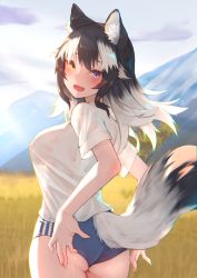 Rule 34 | 1girl, absurdres, adjusting buruma, adjusting clothes, akuma (st.takuma), alternate costume, animal ear fluff, animal ears, ass, backlighting, bare arms, black hair, breasts, buruma, covered erect nipples, cowboy shot, day, fang, flat ass, from behind, grey wolf (kemono friends), gym uniform, heterochromia, highres, kemono friends, long hair, looking at viewer, looking back, medium breasts, multicolored hair, no bra, open mouth, outdoors, see-through, see-through silhouette, shirt, short sleeves, sideboob, smile, solo, tail, two-tone hair, white hair, wolf ears, wolf girl, wolf tail