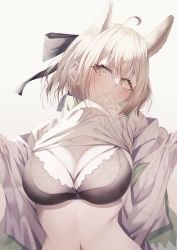 Rule 34 | 1girl, absurdres, ahoge, animal ears, black bow, black bra, blonde hair, blush, bow, bra, breasts, cleavage, clothes lift, dog ears, evaiyu, fate/grand order, fate (series), green jacket, hair bow, half updo, highres, jacket, large breasts, long sleeves, looking at viewer, mouth hold, navel, off shoulder, okita souji (dream portrait) (fate), okita souji (fate), open clothes, open jacket, ribbed sweater, short hair, solo, sweater, turtleneck, turtleneck sweater, underwear, white sweater, yellow eyes
