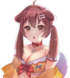 1girl, adapted costume, ahoge, alternate hairstyle, animal ears, bone hair ornament, breasts, brown eyes, brown hair, cleavage, collar, collarbone, commentary request, eyebrows visible through hair, hair ornament, hololive, inugami korone, large breasts, simple background, tail, temari maco, tsurime, twintails, virtual youtuber, white background