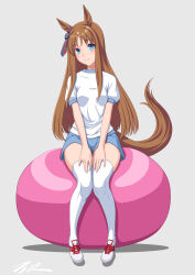 Rule 34 | animal ears, ball, blue eyes, blue shorts, brown hair, commentary request, exercise ball, full body, grass wonder (umamusume), grey background, gym shirt, gym shorts, gym uniform, hands on own thighs, highres, horse ears, horse girl, horse tail, looking at viewer, shirt, shorts, simple background, t-shirt, t2r, tail, thighhighs, umamusume, white shirt, white thighhighs