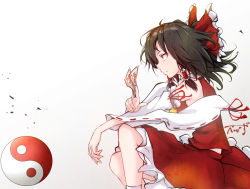 Rule 34 | 1girl, baileys (tranquillity650), bow, brown hair, detached sleeves, expressionless, floating hair, from side, gradient background, hair bow, hair tubes, hakurei reimu, holding, japanese clothes, long hair, looking afar, miko, ofuda, red bow, red skirt, red vest, ribbon, shirt, sidelocks, signature, sitting, skirt, skirt set, socks, solo, touhou, vest, white socks, wide sleeves, wind, wind lift