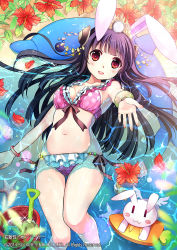 Rule 34 | 1girl, animal ears, arm up, armpits, bikini, black hair, bracelet, breasts, carrot, character request, cleavage, flower, frilled bikini, frills, gluteal fold, hair ornament, inflatable dolphin, inflatable toy, jewelry, kaku-san-sei million arthur, long hair, looking at viewer, lying, million arthur (series), navel, official art, on back, outstretched arm, partially submerged, pink bikini, polka dot, polka dot bikini, rabbit ears, red eyes, solo, stuffed animal, stuffed toy, swimsuit, thigh gap, thighs, tin (wsp85205), water