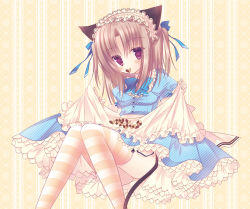 Rule 34 | animal ears, brown hair, cat ears, cat tail, checkerboard cookie, cookie, dress, food, hair ribbon, hairband, lolita fashion, lolita hairband, mouth hold, original, purple eyes, ribbon, skirt basket, solo, striped clothes, striped thighhighs, sumii, tail, thighhighs, two side up