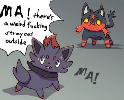 Rule 34 | animal focus, artist name, black eyes, blue eyes, boke-chan, cat, colored sclera, creatures (company), english text, fang, fangs, fangs out, from behind, full body, fur collar, game freak, gen 5 pokemon, gen 7 pokemon, gradient background, grey background, litten, looking back, looking up, meme, nintendo, no humans, open mouth, pokemon, pokemon (creature), simple background, slit pupils, speech bubble, standing, sweat, talking, twitter username, wall-eyed, watermark, wilfred warrior, yellow sclera, zorua