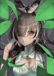 Rule 34 | 1girl, blush, brown eyes, brown hair, bug, cleavage cutout, clothing cutout, feather hair ornament, feathers, hair ornament, hand on own face, highres, hololive, hololive english, insect, ladybug, leaf, momohuri, multicolored hair, nanashi mumei, partially submerged, pond, ponytail, ripples, shirt, smile, streaked hair, virtual youtuber, water, water drop, wet, wet clothes, wet hair, wet shirt, white shirt