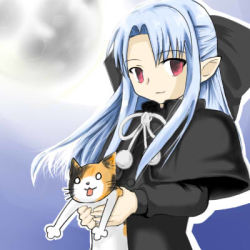 Rule 34 | 00s, 1girl, blue hair, cat, half updo, len (tsukihime), lowres, melty blood, pointy ears, red eyes, solo, tsukihime, type-moon