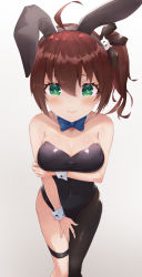 Rule 34 | 1girl, absurdres, ahoge, alternate breast size, animal ears, arm across waist, arm under breasts, asymmetrical clothes, asymmetrical legwear, bare shoulders, black leotard, blue bow, blush, bow, bowtie, breasts, brown hair, cat hair ornament, covered navel, covering privates, covering crotch, detached collar, fake animal ears, gradient background, green eyes, hair between eyes, hair ornament, highres, hololive, leotard, long hair, looking at viewer, medium breasts, natsuiro matsuri, pantyhose, playboy bunny, rabbit ears, side ponytail, simple background, single leg pantyhose, single pantsleg, solo, sr-nagi, strapless, strapless leotard, thigh strap, uneven legwear, virtual youtuber, white background, wrist cuffs