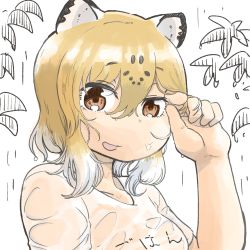 Rule 34 | 10s, 1girl, :d, alternate hairstyle, animal ears, blonde hair, brown eyes, commentary request, hand up, hare (tetterutei), highres, jaguar (kemono friends), jaguar ears, kemono friends, looking at viewer, multicolored hair, open mouth, rain, shirt, short hair, sideways mouth, smile, solo, upper body, wet, wet clothes, wet hair, wet shirt