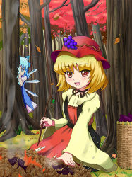 Rule 34 | 2girls, aki minoriko, apron, autumn, autumn leaves, bad id, bad pixiv id, basket, blonde hair, blue eyes, blue hair, bow, cirno, dress, fire, flower, food, forest, fruit, grapes, grass, hair bow, hat, hiding, ice, ice wings, long sleeves, looking at another, looking at viewer, multiple girls, nature, open mouth, outdoors, peeking out, red eyes, roasting, smoke, stick, sweet potato, tonakai (bunsuka), touhou, wide sleeves, wings
