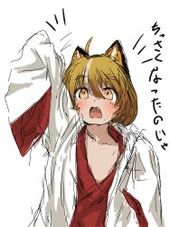 Rule 34 | 1girl, age regression, animal ears, blonde hair, ekakifunamushi, fang, fox ears, fox girl, highres, japanese clothes, miko, oversized clothes, solo, translation request, white background, yellow eyes, aged down