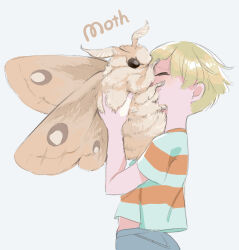 Rule 34 | 1boy, animal, animal on face, blonde hair, blue background, blue shirt, bug, closed eyes, commentary, english commentary, english text, from side, holding, holding animal, insect, male focus, moth, ootani eiti, orange shirt, original, oversized animal, shirt, short hair, short sleeves, simple background, striped clothes, striped shirt, upper body, very short hair