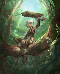 Rule 34 | 1girl, animal on arm, ankle boots, bad id, bad pixiv id, bird, bird on arm, black thighhighs, boots, branch, brown footwear, day, elbow gloves, forest, gloves, green eyes, grey gloves, hand up, hawk, highres, in tree, looking at viewer, midriff, nature, navel, original, outdoors, shichigatsu, short hair with long locks, shorts, sidelocks, smile, solo, thighhighs, tree, vest, white hair, white shorts