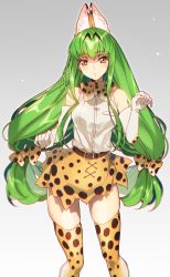 Rule 34 | 10s, 1girl, animal ears, artist name, bare shoulders, bow, bowtie, breasts, c.c., code geass, cosplay, creayus, elbow gloves, gloves, green hair, kemono friends, long hair, looking at viewer, medium breasts, open mouth, paw pose, serval (kemono friends), serval (kemono friends) (cosplay), serval print, serval tail, simple background, skirt, sleeveless, solo, tail, thighhighs, twitter username, yellow eyes