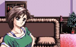Rule 34 | 1990s (style), 1girl, breasts, brown hair, cabinet, couch, dithering, facing viewer, flower pot, game cg, green shirt, indoors, interheart, looking at viewer, lowres, medium breasts, medium hair, pc98, pixel art, plant, potted plant, reijou monogatari, retro artstyle, saijou saki (reijou monogatari), shirt, smile, solo, standing, tagme, upper body