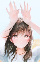 Rule 34 | 1girl, brown hair, clear sky, day, expressionless, field, hair over shoulder, hands up, highres, light blush, looking at viewer, medium hair, ojay tkym, original, outdoors, red eyes, redrawn, shirt, short sleeves, sidelocks, signature, sky, solo, standing, sunlight, upper body, wheat field, white shirt, white sky