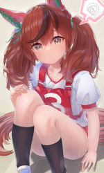Rule 34 | 1girl, absurdres, animal ears, bow, brown eyes, brown hair, closed mouth, commentary request, ear ribbon, green ribbon, gym uniform, hatsuga (dmaigmai), highres, horse ears, horse girl, horse tail, huge filesize, legs, long hair, looking at viewer, multicolored hair, nice nature (umamusume), red hair, ribbon, short hair, sitting, smile, socks, streaked hair, tail, twintails, umamusume