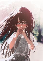 Rule 34 | 1girl, black hair, blurry, blush, cherry blossoms, covering own mouth, depth of field, dress, floating hair, grey dress, grey eyes, highres, honjou ruri, honnryou hanaru, long hair, looking at viewer, original, outdoors, own hands together, see-through, see-through sleeves, short sleeves, solo, spring (season), straight-on, sweatdrop, upper body