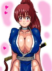Rule 34 | 1girl, breasts, cleavage, collarbone, dead or alive, hip focus, huge breasts, jewelry, kasumi (doa), necklace, sasa, shiny skin, smile, solo, sword, tecmo, weapon, wide hips