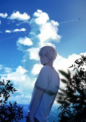 Rule 34 | 1boy, absurdres, aircraft, airplane, amuro tooru, arms at sides, blonde hair, blue eyes, blue sky, blurry, blurry foreground, casual, chitose (chitose 70207), closed mouth, cloud, cloudy sky, commentary, contrail, day, hair between eyes, highres, horizon, looking at viewer, looking back, male focus, meitantei conan, outdoors, pants, plant, shirt, short hair, short sleeves, sky, smile, solo, standing, white shirt