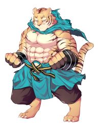 Rule 34 | 1boy, abs, absurdres, bara, black gloves, clenched hands, fingerless gloves, fingernails, full body, furry, furry male, gloves, green eyes, highres, male focus, mouth hold, muscular, muscular male, pang (sdorica), pectorals, sdorica, sharp fingernails, solo, stalk in mouth, standing, tiger boy, toe claws, topless male, yed (yedsilent)