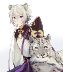 Rule 34 | 1boy, animal ears, biting, biting own tail, blue eyes, cat ears, chinese clothes, csyday, fate/grand order, fate (series), grey hair, hair between eyes, highres, kemonomimi mode, leopard ears, male focus, mouth hold, prince of lan ling (fate), short hair, solo, tail, tail biting