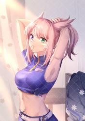Rule 34 | 1girl, animal ears, armpits, arms up, warrior of light (ff14), belt, blue shirt, breasts, character request, copyright request, crop top, facial mark, final fantasy, final fantasy xiv, gogatsu fukuin, green eyes, hair tie in mouth, heterochromia, highres, looking at viewer, medium breasts, medium hair, midriff, miqo&#039;te, mouth hold, navel, pink hair, purple eyes, shirt, solo, stomach, upper body, whisker markings, white belt