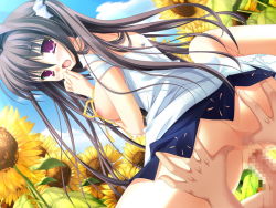 Rule 34 | 1boy, 1girl, ass, blush, breasts, brown hair, censored, cloud, dress, dutch angle, flower, girl on top, grabbing another&#039;s ass, kozakura ryou, large breasts, light rays, long hair, looking at viewer, looking back, nanase ayumu, natsu yume nagisa, neck ribbon, nipples, no panties, open mouth, outdoors, penis, pink eyes, pussy, pussy juice, reverse cowgirl position, ribbon, scrunchie, sex, sex from behind, sky, sleeveless, sleeveless dress, straddling, sunbeam, sunflower, sunlight, twintails, vaginal, white dress, yellow ribbon