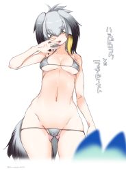 Rule 34 | 1girl, arm at side, bare arms, bare shoulders, bikini, bird tail, black hair, blurry, blurry foreground, breasts, character name, collarbone, cowboy shot, gluteal fold, green eyes, grey bikini, grey hair, groin, hair between eyes, halterneck, hand to own mouth, hand up, highres, kemono friends, licking, licking finger, looking at another, looking down, low ponytail, lowleg, lowleg bikini, lucky beast (kemono friends), medium breasts, medium hair, micro bikini, mudou eichi, multicolored hair, navel, orange hair, shiny skin, shoebill (kemono friends), side ponytail, simple background, solo focus, standing, staring, stomach, swimsuit, tail, tongue, tongue out, twitter username, white background