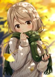 Rule 34 | 1girl, ahoge, aran sweater, autumn, autumn leaves, blurry, blurry background, blush, brown eyes, cable knit, covering own mouth, dappled sunlight, enpera, eyebrows, falling leaves, ginkgo tree, green scarf, grey sweater, hair between eyes, head tilt, holding, hyuuga azuri, jpeg artifacts, leaf, long hair, long sleeves, looking at viewer, original, outdoors, scarf, sleeves past wrists, solo, sunlight, sweater, tareme