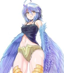 Rule 34 | 10s, 1girl, absurdres, ahoge, blue hair, blue wings, breasts, covered erect nipples, cowboy shot, feathered wings, harpy, highres, kawasumi (tk2k jade), monster girl, monster musume no iru nichijou, navel, papi (monster musume), short shorts, shorts, simple background, small breasts, solo, unbuttoned, white background, winged arms, wings, yellow eyes