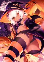 Rule 34 | 1girl, :o, ass, bare shoulders, bat (animal), bat wings, black wings, blush, breasts, broom, colored stripes, commentary request, dark-skinned female, dark skin, demon girl, detached sleeves, from behind, from below, halloween, hat, highres, holding, holding broom, jack-o&#039;-lantern, jacket, long sleeves, m-da s-tarou, panties, parted lips, pumpkin, purple hat, purple panties, purple skirt, purple sky, red eyes, rocoroco, short hair, silver hair, skirt, skull, sky, small breasts, solo, standing, striped clothes, striped thighhighs, tanaka the wizard, thighhighs, thighs, tsurime, twisted torso, underwear, upskirt, wings, witch hat