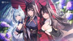 Rule 34 | 3girls, absurdres, akagi (azur lane), amagi (azur lane), animal ear fluff, animal ears, azur lane, black gloves, black kimono, blue eyes, bracelet, breasts, brown hair, cleavage, closed mouth, coyucom, fox ears, fox tail, frown, gloves, grey hair, highres, japanese clothes, jewelry, kaga (azur lane), kimono, kitsune, kyuubi, large breasts, locked arms, long hair, looking at viewer, medium hair, multiple girls, multiple tails, official art, oil-paper umbrella, open mouth, outdoors, parted lips, rain, red eyes, red kimono, sakuramon, sidelocks, smile, standing, tail, thick eyebrows, trait connection, umbrella, upper body, very long hair, white kimono
