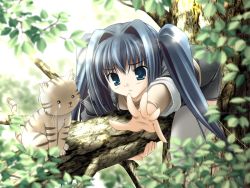 Rule 34 | 1girl, :&lt;, blue eyes, blue hair, cat, game cg, hatenaki sora, in tree, leaf, long hair, matching hair/eyes, non-web source, outstretched arm, outstretched hand, reaching, sakaki maki, solo, sugiura aya, sweatdrop, thighhighs, tree, twintails