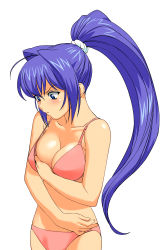 Rule 34 | 00s, 1girl, a1 (initial-g), absurdres, adjusting bra, adjusting breasts, adjusting clothes, ahoge, bare shoulders, blue eyes, blue hair, blush, bra, breast hold, breasts, cleavage, hair intakes, hayase mitsuki, highres, kimi ga nozomu eien, large breasts, lingerie, long hair, matching hair/eyes, panties, ponytail, simple background, solo, standing, stomach, underwear, underwear only