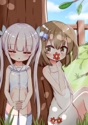 Rule 34 | 2girls, absurdres, bare arms, bare shoulders, blue bow, blue ribbon, blush, bow, breasts, brown eyes, brown hair, cleavage, closed eyes, collarbone, commentary request, covered mouth, day, dress, fence, flower, flower over mouth, grass, hair between eyes, hair bow, hair ribbon, highres, holding, holding flower, hugging own legs, jiu (sdesd3205), knees up, long hair, multiple girls, one side up, original, outdoors, parted lips, red flower, ribbon, sailor collar, sailor dress, sidelocks, silver hair, sitting, sleeveless, sleeveless dress, small breasts, socks, tree, twintails, very long hair, white dress, white legwear, white sailor collar