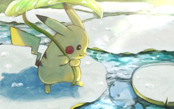 Rule 34 | closed mouth, commentary request, creatures (company), eye contact, game freak, gen 1 pokemon, gen 2 pokemon, holding, holding leaf, leaf, lily pad, looking at another, nintendo, no humans, pikachu, pokemon, pokemon (creature), sagemaru-br, smile, standing, water, water drop, wooper