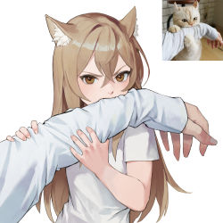 Rule 34 | 1girl, animal ear fluff, animal ears, biting, brown eyes, brown hair, cat ears, commentary, crossed bangs, derivative work, dongho kang, fang, hair between eyes, highres, holding own arm, long hair, long sleeves, looking at viewer, photo-referenced, photo (medium), photo inset, real life, shirt, simple background, solo, upper body, white background, white shirt