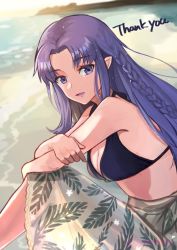 Rule 34 | 1girl, alternate costume, beach, bikini, black bikini, braid, breasts, cleavage, commentary request, commission, english text, fate/stay night, fate (series), lips, long hair, looking at viewer, matsui haru, medea (fate), medium breasts, outdoors, parted bangs, parted lips, pointy ears, purple eyes, purple hair, purple lips, sand, sarong, side braid, sidelocks, sitting, skeb commission, solo, sunlight, swimsuit, thank you, water