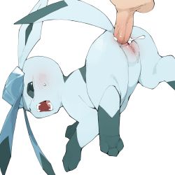 Rule 34 | 1boy, 1girl, anal, animal hands, animal nose, bestiality, blue eyes, blue hair, blush, creatures (company), cum, cum in ass, ejaculation, fangs, furry, game freak, gen 4 pokemon, glaceon, hetero, highres, looking back, nintendo, open mouth, penis, pokemon, pokemon (creature), pokephilia, profile, pussy, sex, sex from behind, simple background, solo focus, sweatdrop, teeth, testicles, uncensored, white background, youjo modoki