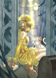 Rule 34 | 1girl, barrel, blue eyes, brown hair, cat, cuffs, dress, drum (container), handcuffs, headphones, key, original, rescue, riolabo, smile, solo, steel beam, yellow dress