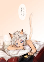 Rule 34 | 00s, 1girl, animal ears, blue eyes, cat ears, cat girl, cat tail, doraeshi, female focus, final fantasy, final fantasy xi, highres, looking at viewer, lying, mithra (ff11), on bed, on stomach, pillow, solo, tail, text focus, translated, white hair