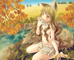 Rule 34 | 10s, 1girl, 2014, animal ears, barefoot, bloomers, blush, breasts, brown hair, convenient censoring, dated, eating, field, fish, fluffy, fox ears, fox tail, grass, hair censor, hair over breasts, hanakomiti, horizon, long hair, looking away, nature, navel, on ground, orange eyes, original, outdoors, plant, raw meat, river, rock, signature, sitting, tail, tears, branch, underwear, underwear only, very long hair, wariza, water, wavy hair