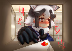 Rule 34 | 1girl, absurdres, animal ears, black gloves, black hair, blue sailor collar, blue serafuku, blush, brown eyes, commentary request, fur-trimmed sleeves, fur collar, fur trim, gloves, hakumaiya, hand on own chest, highres, kemono friends, letter, looking to the side, love letter, multicolored hair, neckerchief, outstretched hand, pursed lips, raccoon ears, sailor collar, school uniform, serafuku, getabako, sidelocks, solo, sound effects, standing, sweatdrop, tanuki (kemono friends), trembling, two-tone hair, upper body, white hair, white neckerchief