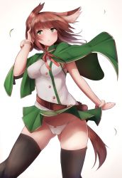 Rule 34 | 1girl, animal ears, bad id, bad pixiv id, belt, black legwear, blush, breasts, brown hair, cameltoe, covered erect nipples, gluteal fold, green eyes, hair ornament, highres, original, panties, parted lips, simple background, snm (sunimi), solo, tail, underwear, white background, white panties