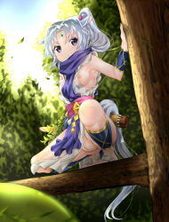 Rule 34 | 10s, 1girl, animal ears, barefoot, bow (weapon), bracer, breasts, clitoris, day, dog days, feet, forehead jewel, gold trim, horse ears, horse girl, horse tail, in tree, nipple slip, nipples, no bra, no panties, outdoors, ponytail, purple eyes, pussy, quiver, scarf, serakoutarou, sharu (dog days), silver hair, small breasts, solo, tabard, tail, toes, tree, uncensored, weapon